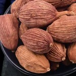 Fructus Tsaoko Factory - Dried Spices Cheap Price