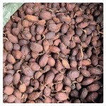 Fructus Tsaoko Factory - Dried Spices Cheap Price