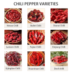 Chia Seeds Supplier - Workout Meal Replacement