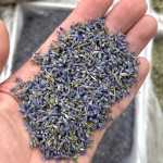 Lavender Buds Manufacturer - Dry Flowers Herb Tea