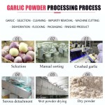 Garlic Powder Supplier - Fresh Powder Low Price
