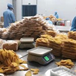 Dried Mango Supplier - Natural Healthy Chips