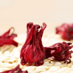 Hibiscus Flower Supplier - Organic Dried Roselle
