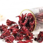 Hibiscus Flower Supplier - Bulk Extract Price