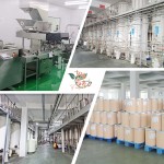 Turmeric Powder Manufacturer - New Crop Finger Powder