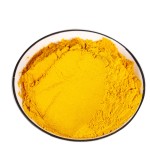 Turmeric Powder Manufacturer - Dried Fingers Curcumin Bulk
