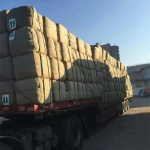 Basil Seeds Manufacturer - Natural Seeds Ready