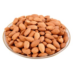 Apricot Kernels Supplier - Bitter Nuts Organic Bulk