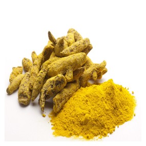 Turmeric Powder Manufacturer - New Crop Finger Powder