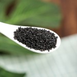 Chia Seeds Factory - Bulk Seed High Quality