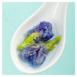 Butterfly Pea Tea Manufacturer - Dried Flower Herbal