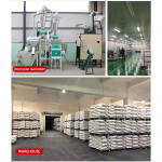 Turmeric Powder Manufacturer - Dried Fingers Curcumin Bulk