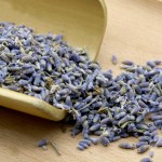 Lavender Flowers Factory - Natural Color Custom