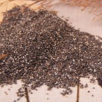 Chia Seeds Supplier - Natural Dried Seeds Bulk