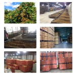 Dried Longan Supplier - Natural Sweet China