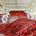 Chia Seeds Supplier - Workout Meal Replacement