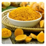 Turmeric Fingers Factory - Dried Powder Standard Export