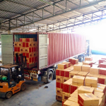 Dried Longan Supplier - Natural Sweet China