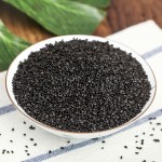 Chia Seeds Factory - Bulk Seed High Quality