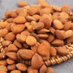 Apricot Kernels Supplier - Bitter Nuts Organic Bulk