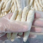 Ginseng Root Manufacturer - Dry Ren Shen Customized
