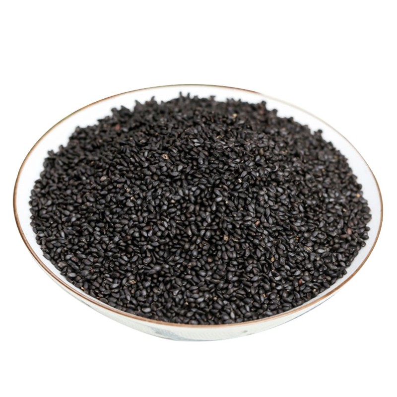 Basil Seeds Supplier - Best Price Quality Seeds