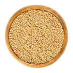 Mustard Seeds Manufacturer - Yellow Seeds Kitchen