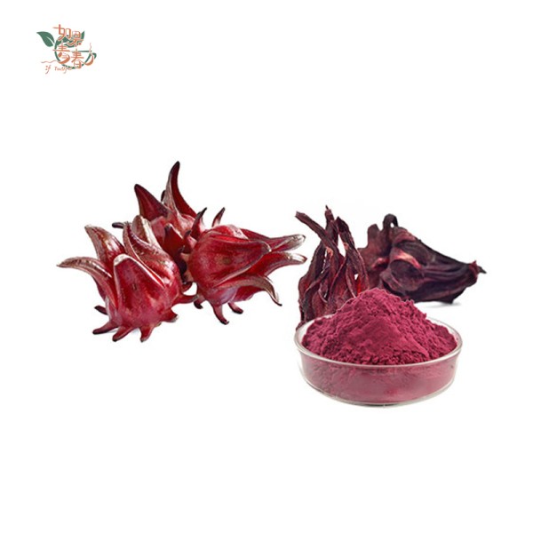 Hibiscus Powder Factory - Dried Flower Grind