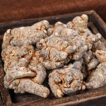 Sanqi Root Supplier - Panax Notoginseng Bulk