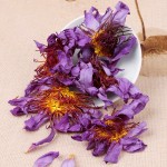 Blue Lotus Flower Supplier - Nymphaea Tetragona Tea