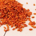 Sea Buckthorn Fruit Supplier - Chinese Dried Berry