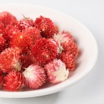 Globe Amaranth Tea Supplier - Red Hong Qiao Mei