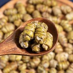 Dendrobium Stem Factory - Tie Pi Shi Hu Noble