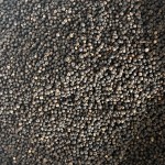 Black Pepper Powder Factory - Organic Piperine