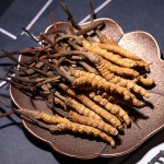 Cordyceps Mushroom Supplier - Freeze Dried Whole
