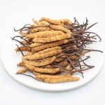 Cordyceps Mushroom Supplier - Freeze Dried Whole