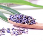 Lavender Flower Tea Supplier - Xun Yi Cao Natural