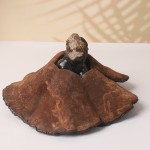 Ganoderma Mushroom Supplier - Wild Dried Reishi