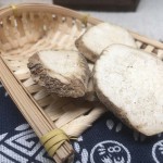 Waterplantain Root Factory - Alisma Rhizoma Wholesale