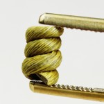 Dendrobium Stem Factory - Tie Pi Shi Hu Noble