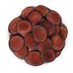 Deer Antler Powder Factory - Natural Chinese Herb