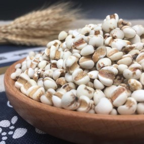 Coix Seed Powder Supplier - Job's Tears Extract