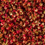 Sichuan Pepper Manufacturer - Red Hemp Chili
