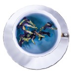 Butterfly Pea Flower Tea Manufacturer - Organic Dried
