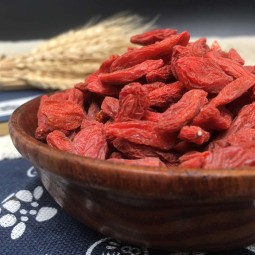 Goji Berry Tea Factory - Ningxia Red Wolfberry