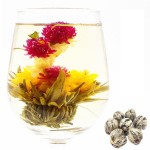 Dragon Blooming Tea Factory - Jasmine Lily Green
