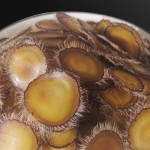 Deer Antler Supplier - Powder Slices Men