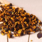 Snow Chrysanthemum Tea Manufacturer - Tian Shan Xue Ju