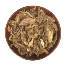 Angelica Root Supplier - Du Huo Pubescentis Slice