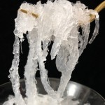 Swallow Nest Manufacturer - Premium Raw OEM